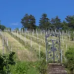 Koschak Wirt&weinbauer *
