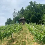 Gasthof Koschak Wirt&weinbauer *