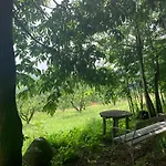 Koschak Wirt&weinbauer Gasthof *