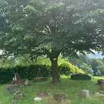 Gasthof Koschak Wirt&weinbauer *