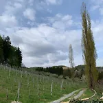 Gasthof Koschak Wirt&weinbauer Heimschuh