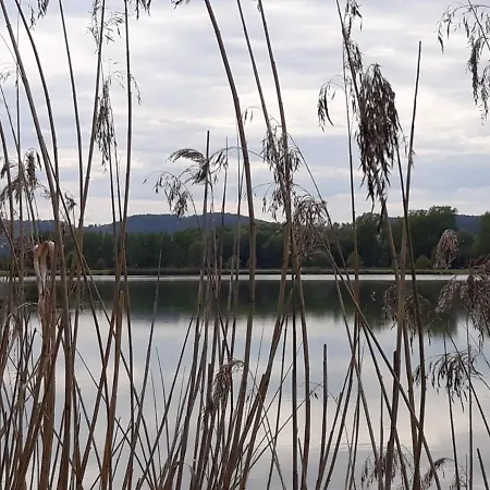 Koschak Wirt & Weinbauer