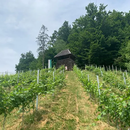 Inn Koschak Wirt & Weinbauer *
