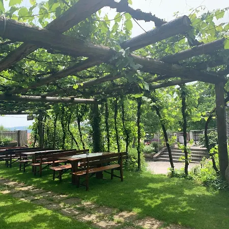 Koschak Wirt & Weinbauer Locanda *