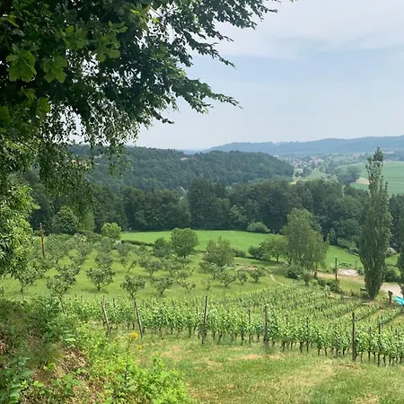 Koschak Wirt & Weinbauer * Heimschuh