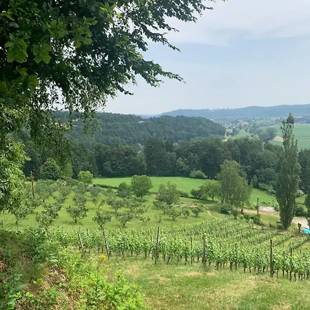 Koschak Wirt & Weinbauer * Heimschuh