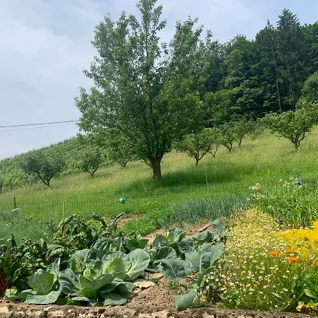 Gasthof Koschak Wirt&weinbauer Heimschuh