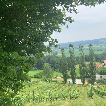 Koschak Wirt & Weinbauer