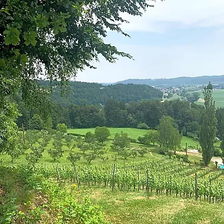 Koschak Wirt&weinbauer * Heimschuh