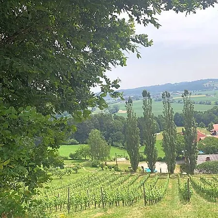 Koschak Wirt&weinbauer Gasthof