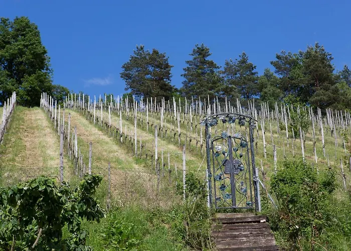 Koschak Wirt & Weinbauer *