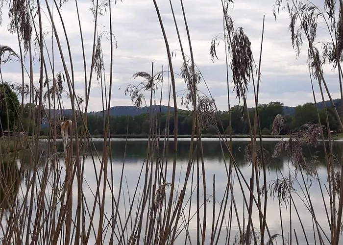 Koschak Wirt & Weinbauer