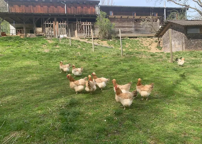 Inn Koschak Wirt & Weinbauer *