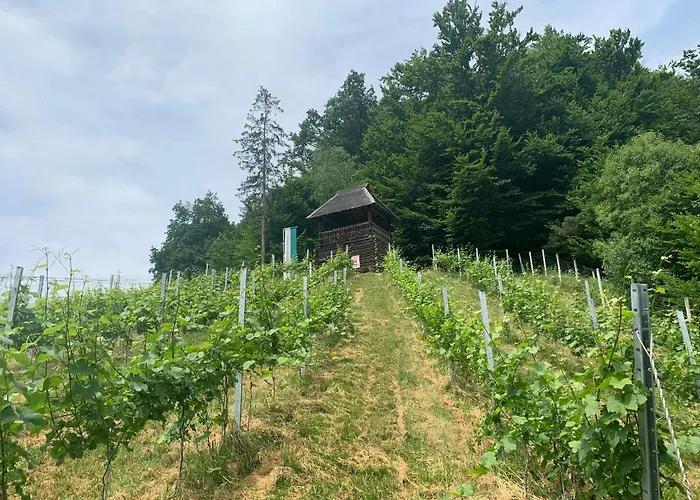 Inn Koschak Wirt & Weinbauer *