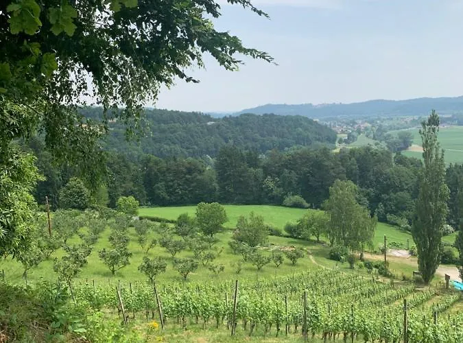 Koschak Wirt & Weinbauer * Heimschuh