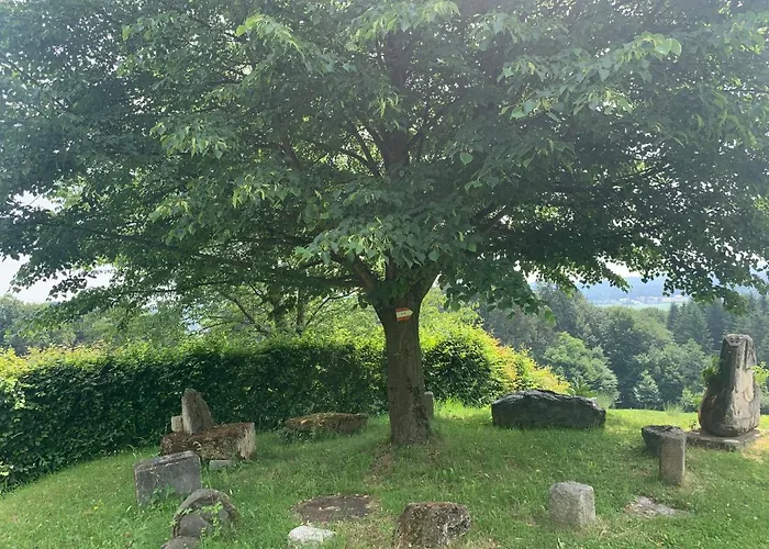 Inn Koschak Wirt & Weinbauer *