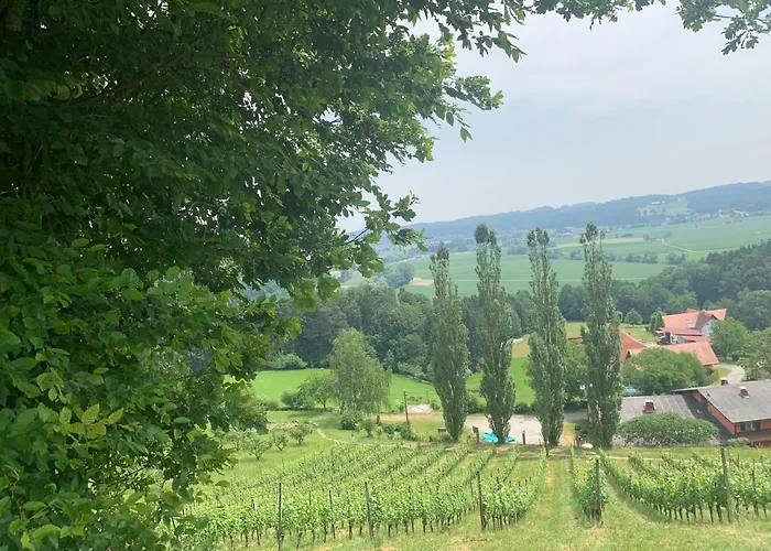 Koschak Wirt & Weinbauer