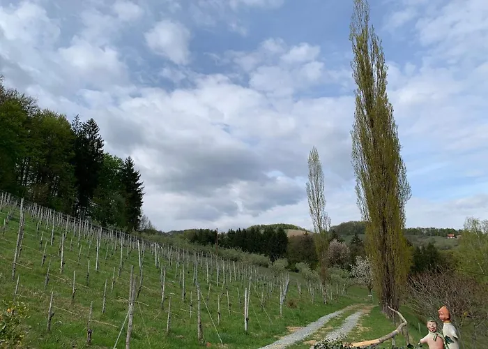 Inn Koschak Wirt & Weinbauer Heimschuh